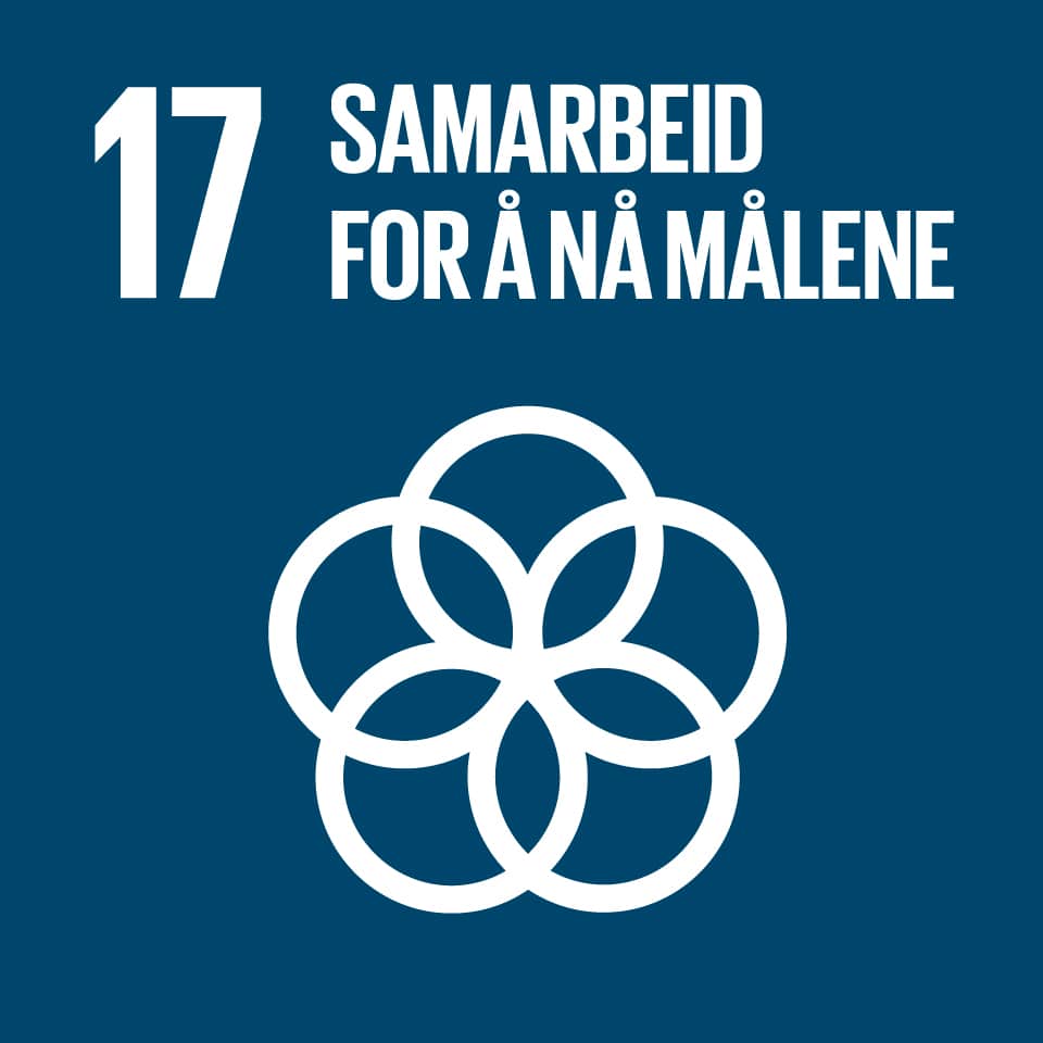 17 samarbeid for å nå målene