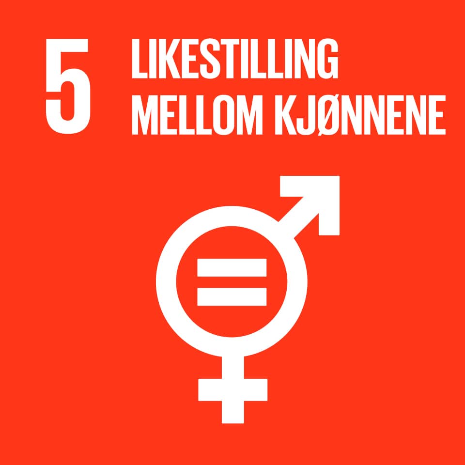 CRPD Likestilling mellom kjønnene