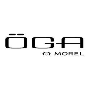 Öga