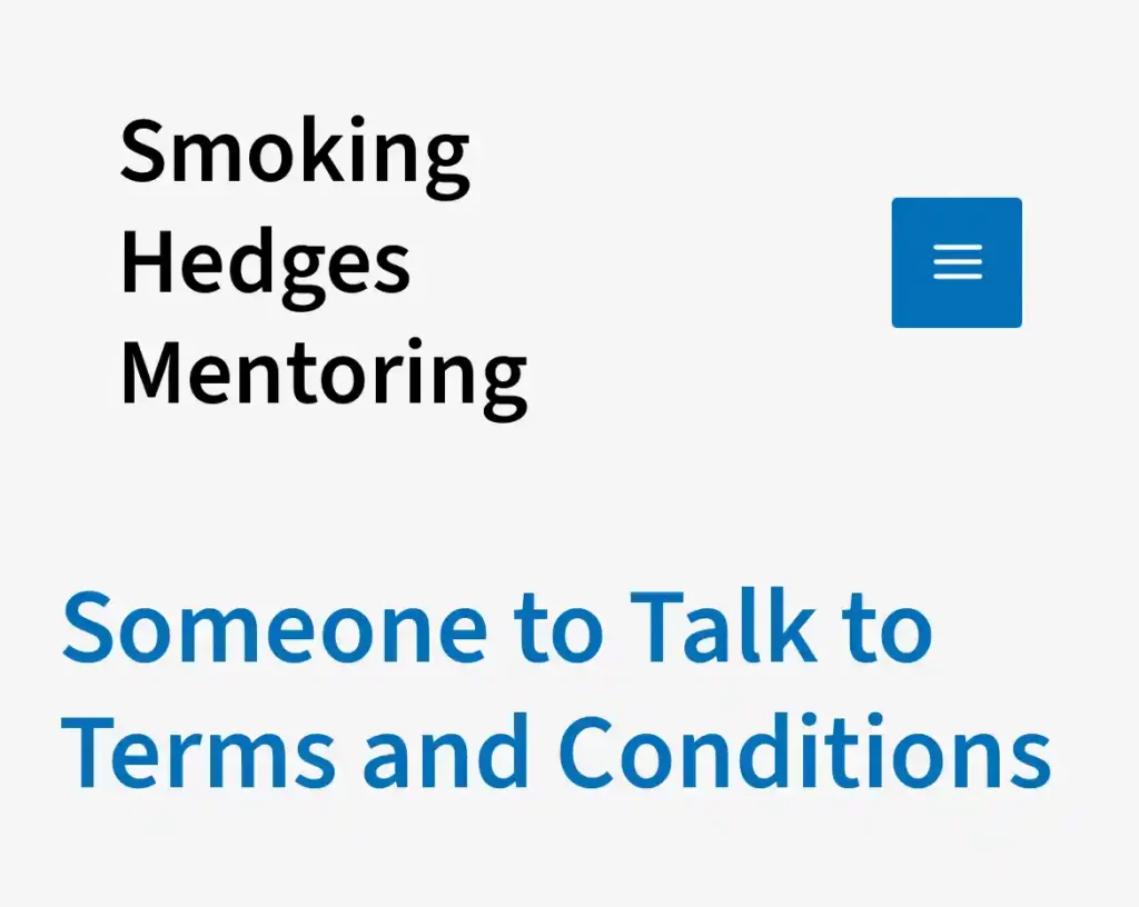 Someone to Talk to Terms and Conditions screenshot