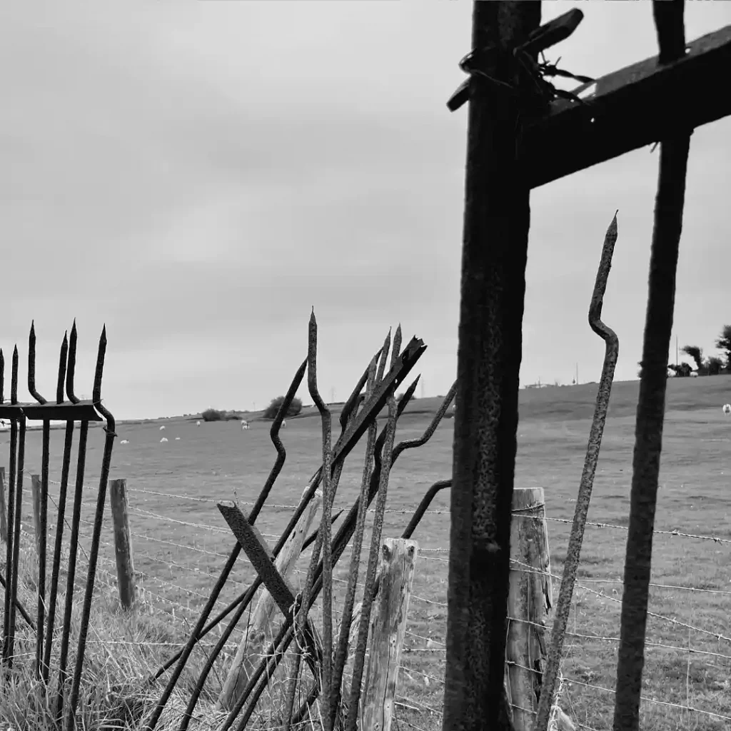 A picture of an old, broken, and rusty fence