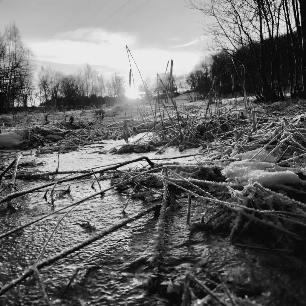 A picture of frozen ground in the winter, with a setting sun