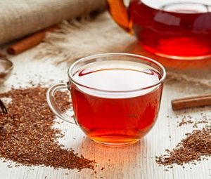 Rooibos