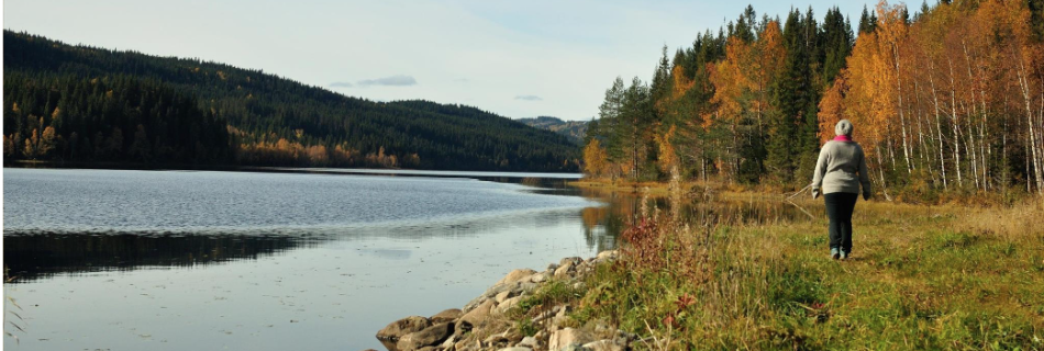 Bilde av en kvinne som går langs et tjern