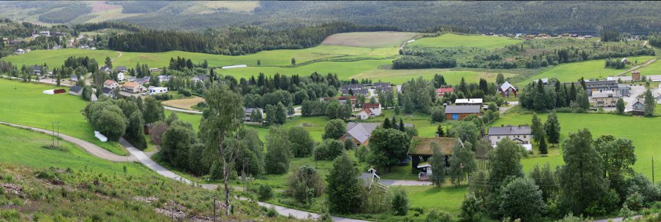 Bilde av Snertingdal