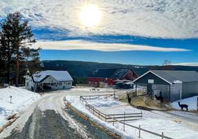 GÅRDSTUN OG SOL