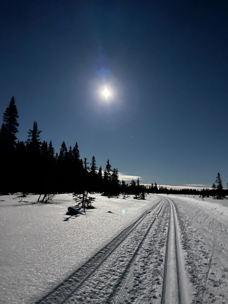 måneskinnstur120225