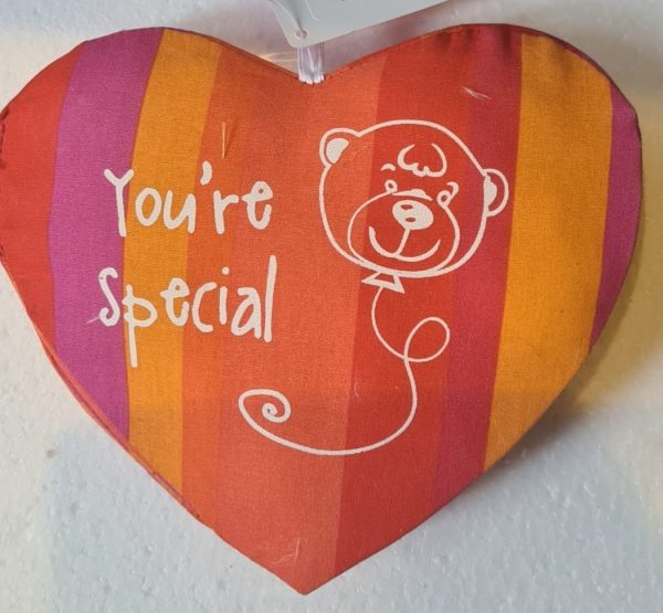 Hart kussen 'You're special' Hart kussen 'You're special'