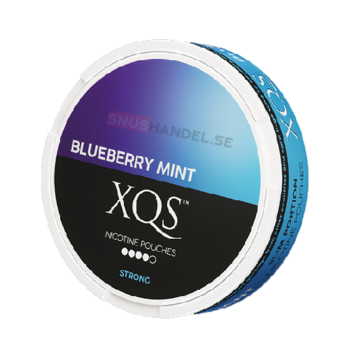 xqs blueberry mint snus