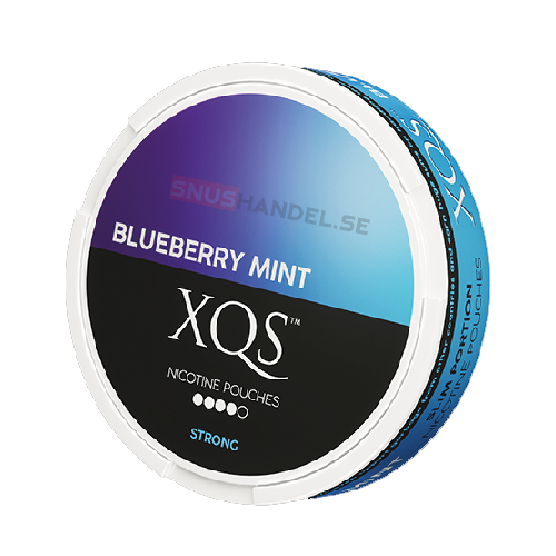 xqs blueberry mint snus