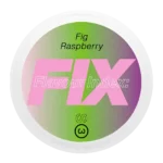 FIX Fig Raspberry #3