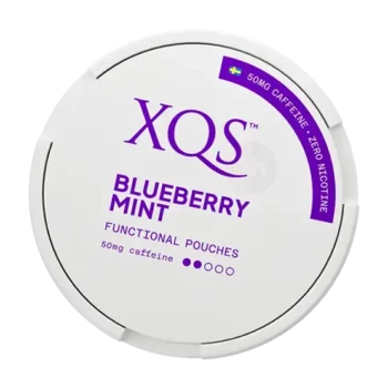 XQS Blueberry Mint