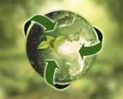 Eco-responsable - terre