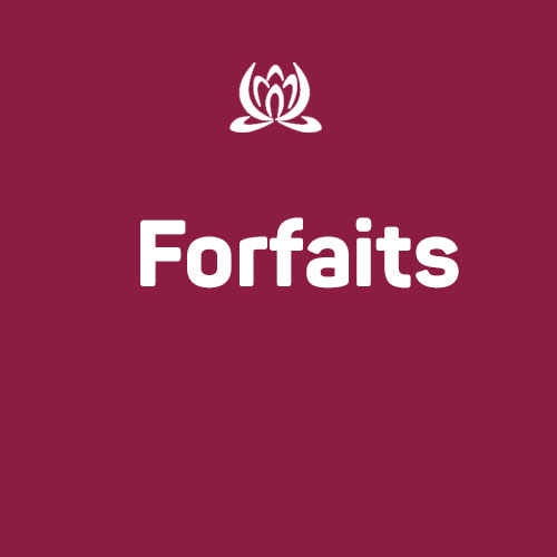 So Organised - Forfaits