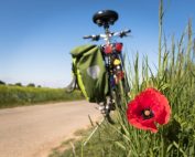 Excursion à vélo