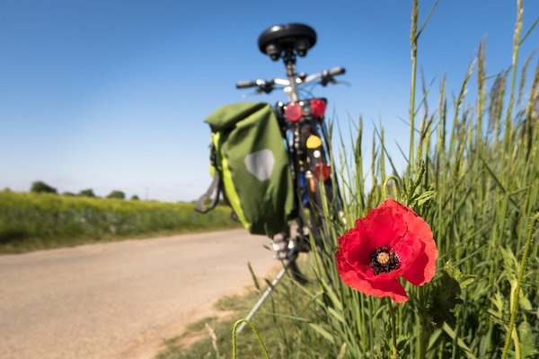 Excursion à vélo