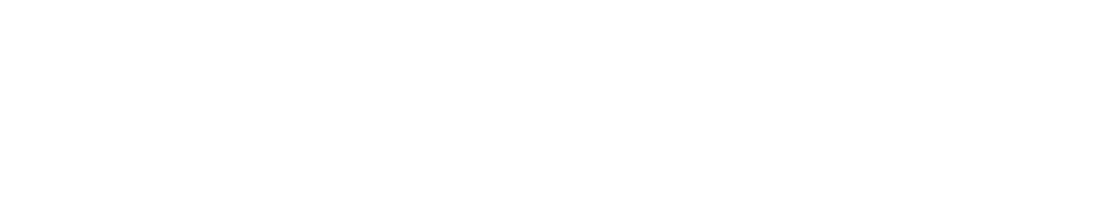 berger medical-logo weiss