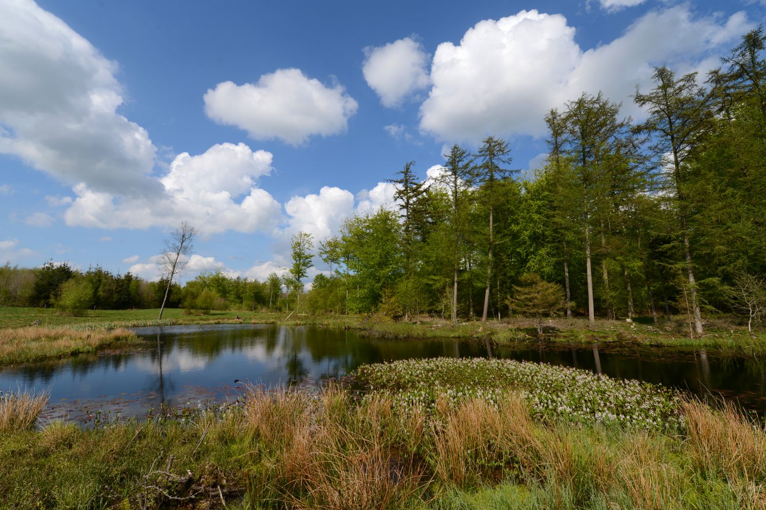 Kogebog for naturintegreret socialt arbejde