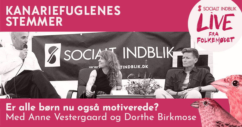 Socialt Indblik 1 kanariefuglenes stemmer live fra folkemoedet 2025 800 420