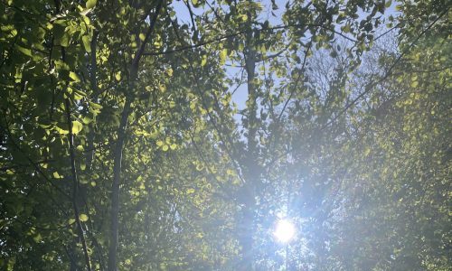 Væren som identitet