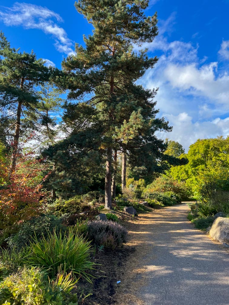 Gåtur i Botanisk have Ansatte guider i regnskoven - Søften Nyt - Foto: Anders Godtfred-Rasmussen.