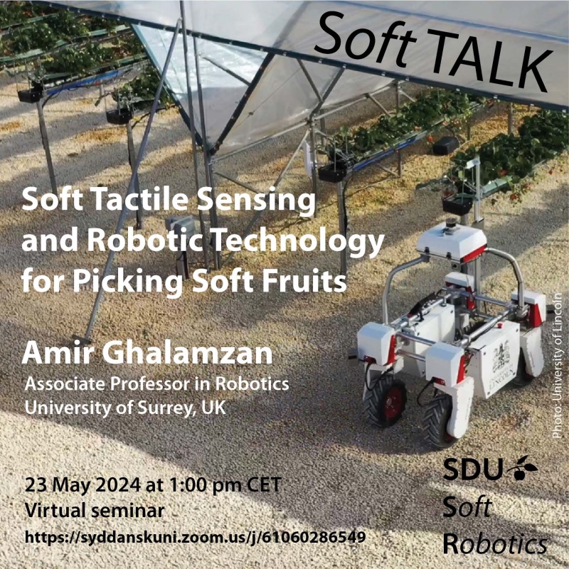 Soft Talk by Amir Ghalamzan