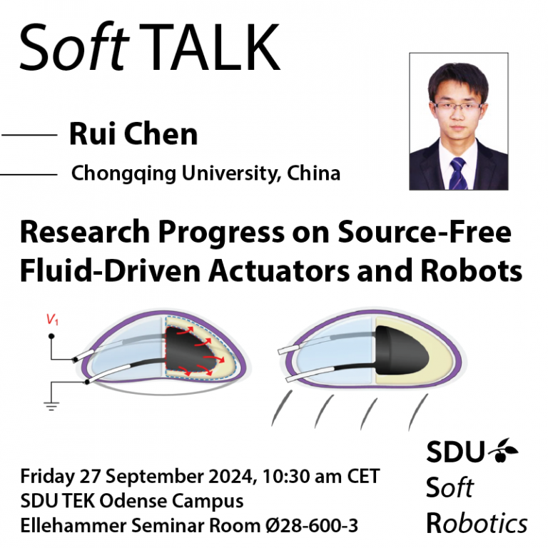 Soft Talk by Rui Chen