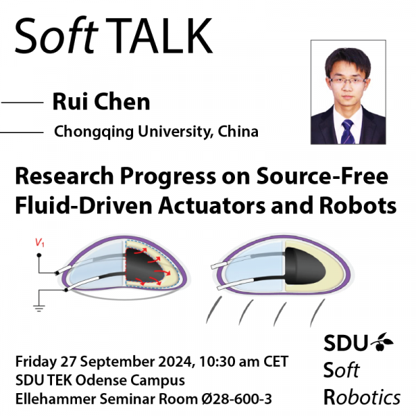 Soft Talk by Rui Chen