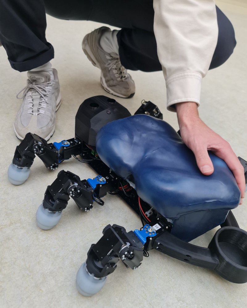 Workshop: “Touch and Social Robotics Theory – Depiction, Sociomorphing, and Haptic Interaction”