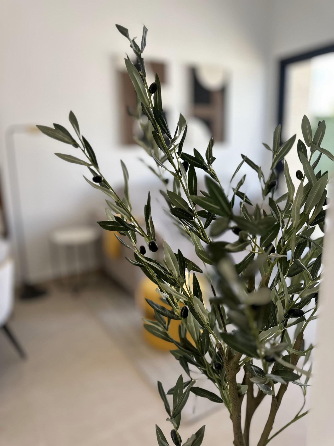 Nybygget Boligkompleks i San Fulgencio – 2 soverom (Ref: N8791)