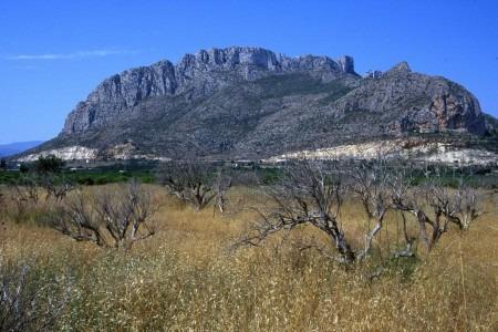 Nybygde Boliger i El Vergel – 3 soverom (Ref: N7791)
