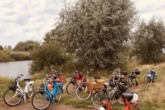 Solex Experience picknick