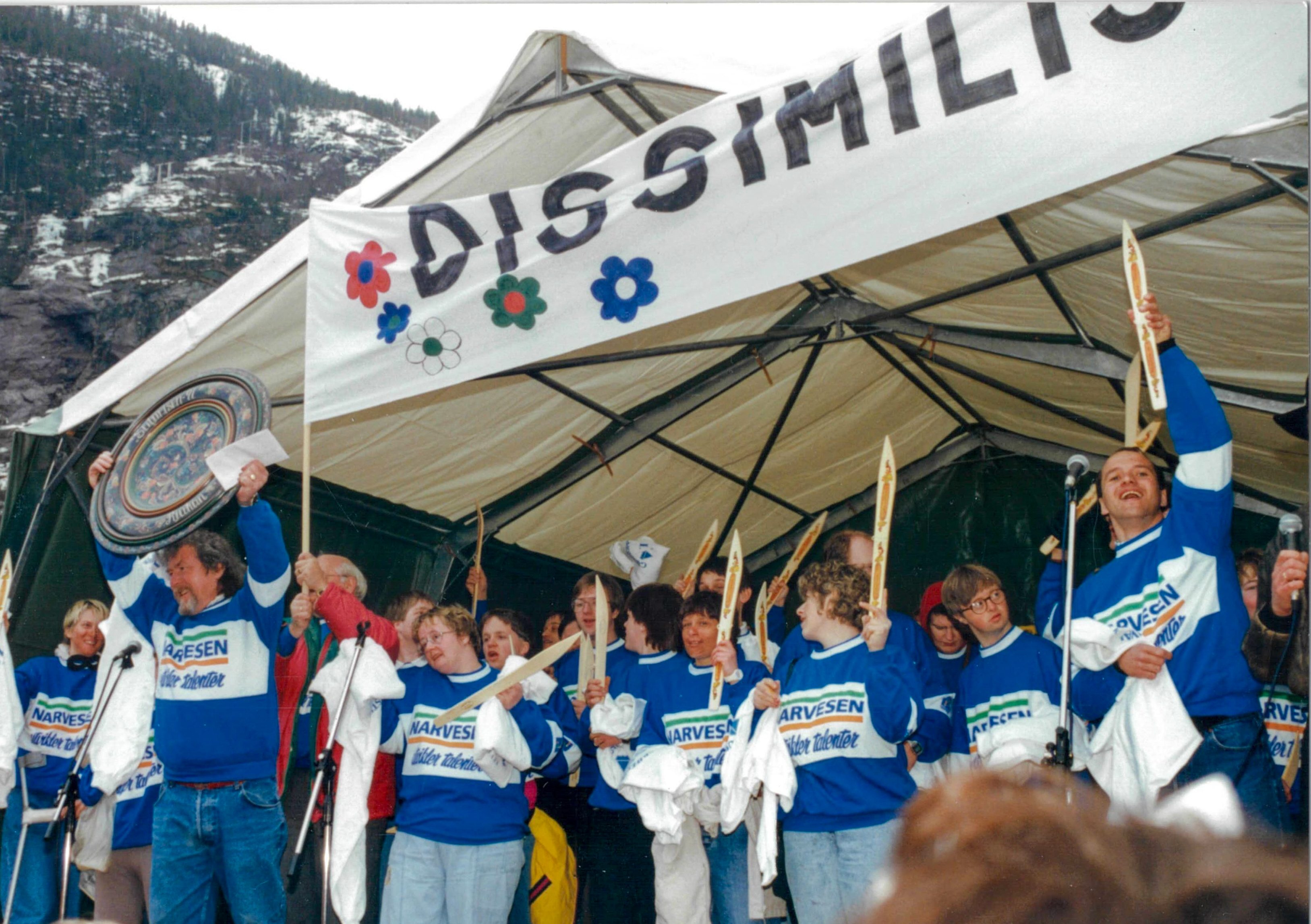 Dissimilis 1991