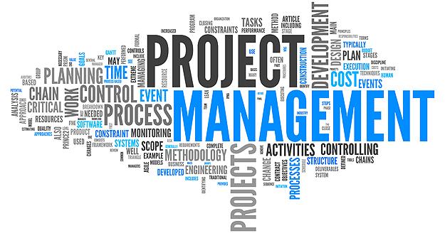 How to manage an international project team