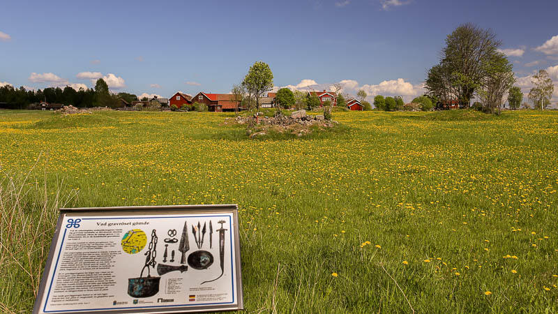 Vikingatida gravfält