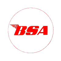 BSA Motorcycles Color Logo