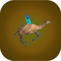 Smart Camel ICON2