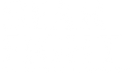 Bearfight logo