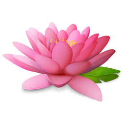 friskvård lotusblomma