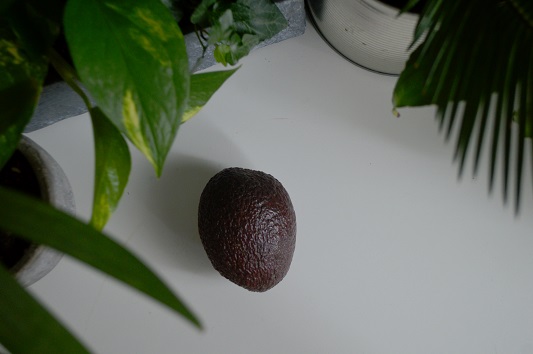 Avocado