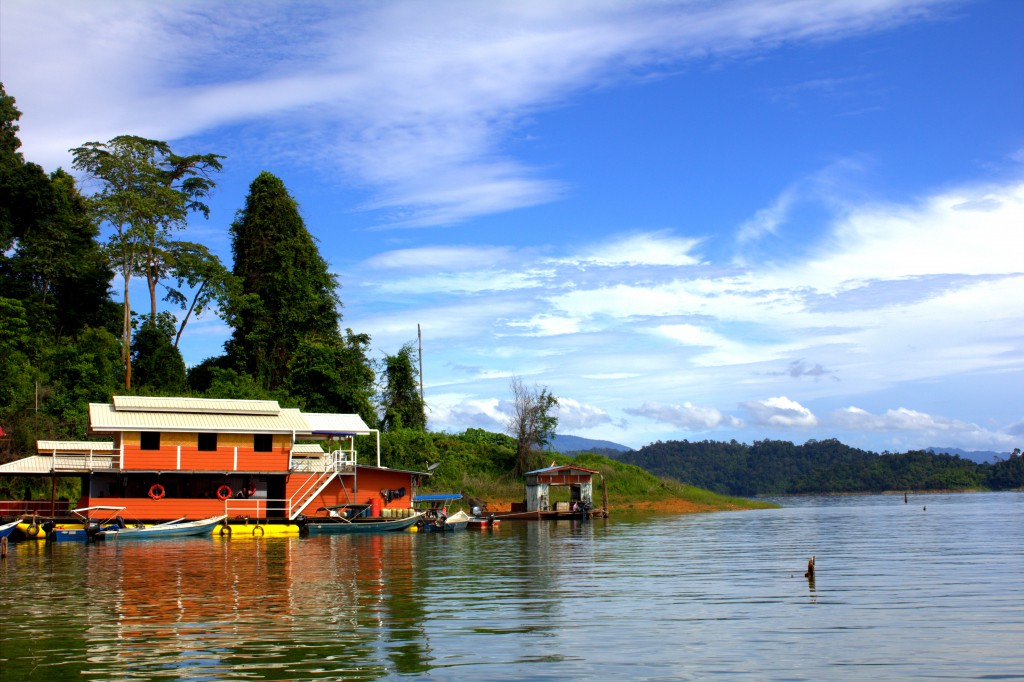 Rainforest Malaysia