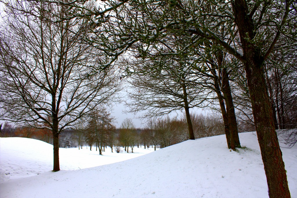 Westerwald Winterlandschaft