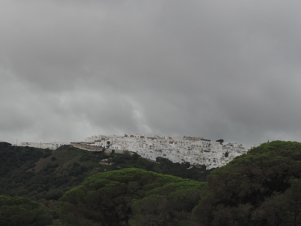 Tarifa