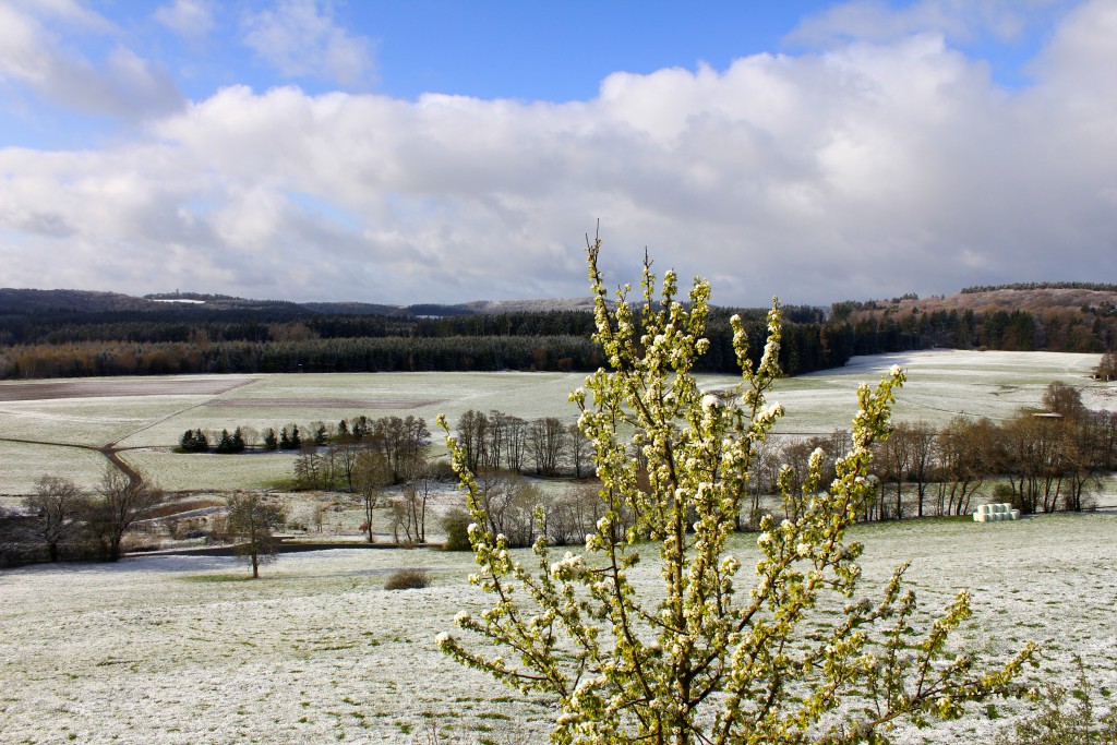 Ausblick Lindner Schnee