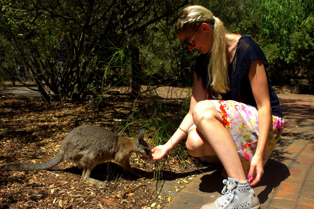 Adelaide Hills Wildlife Park