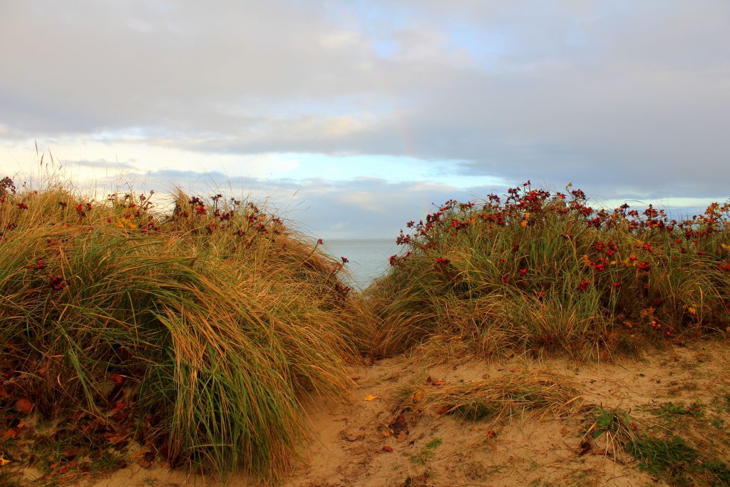 Föhr Dünen