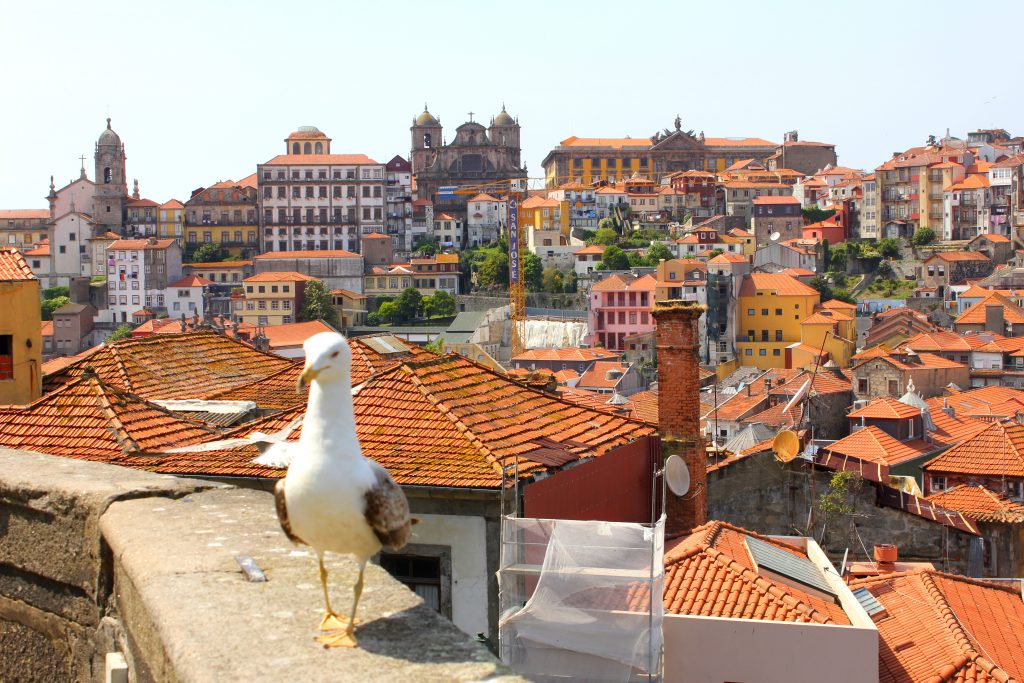 Porto Möwe2