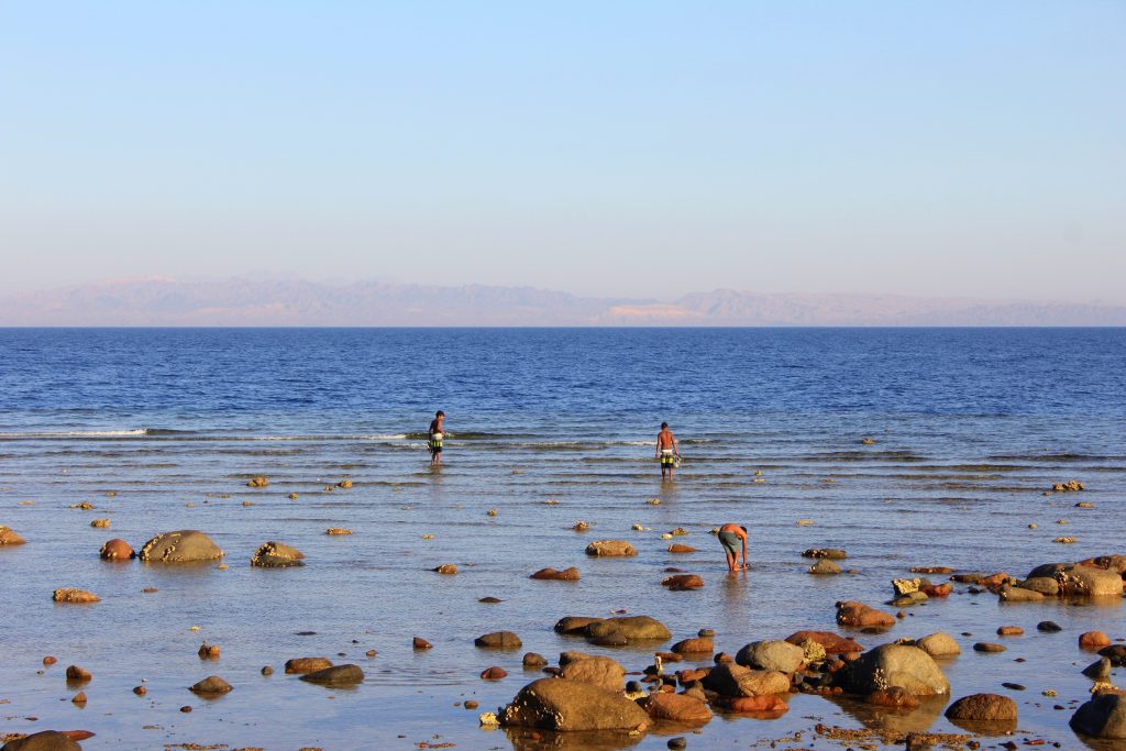 Dahab Fotos