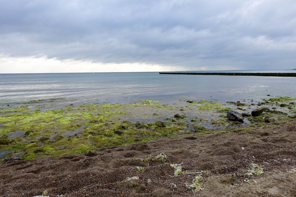 Ostsee poel