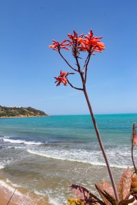Ocean Club Gammarth
